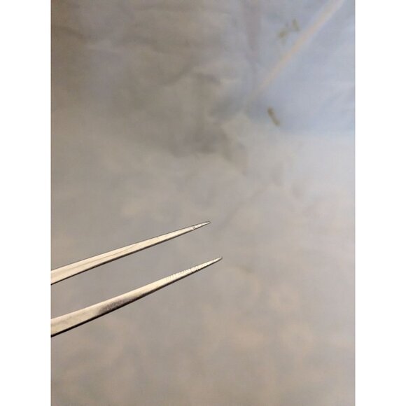 Vintage Meat Fork 10" Wood Handle Stainless Steel - Picture 8 of 8